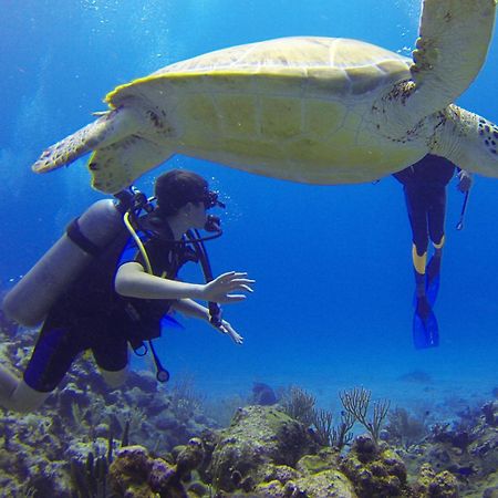Roxon Red Sea Eilat - Adults Only Hotel Luaran gambar