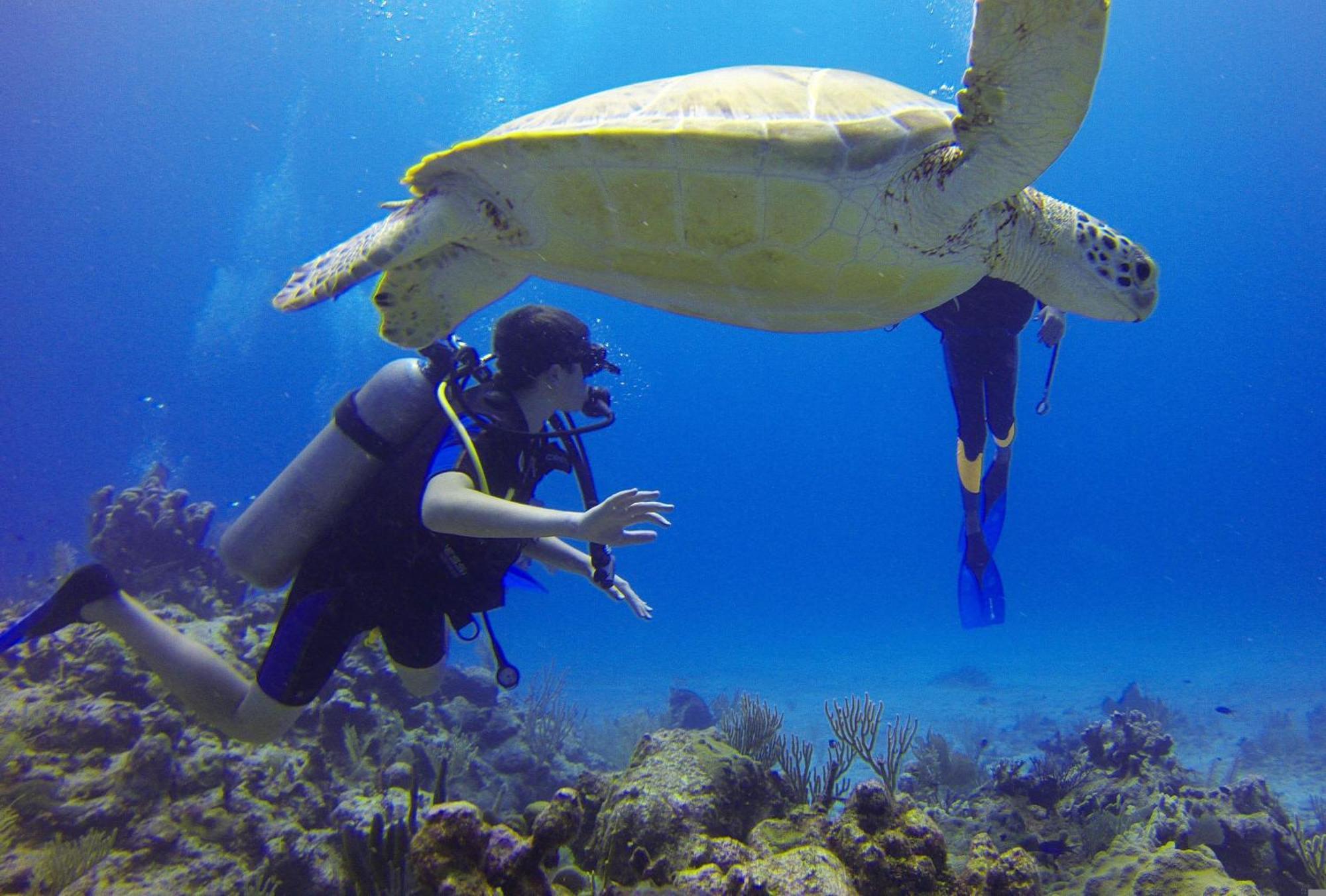 Roxon Red Sea Eilat - Adults Only Hotel Luaran gambar